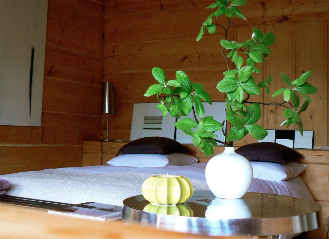 Datchas Appartement *